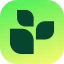 Логотип Lifesum